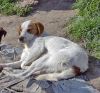 Chico al sol