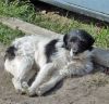 Mon al sol