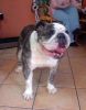 Neska de frente