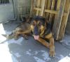 Xana tiene calor