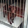 Wanda nos mira