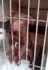 Wanda est� triste