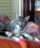 Lennon descansando