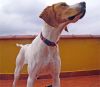 Telma posando