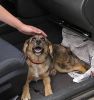 Nena en el coche