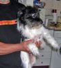 Mamy en brazos