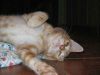 Trillizo jugando