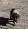 Vilma caminando