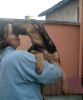 Pastorita 1 besando