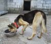 Ba�a comiendo