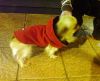 Moty con su abriguito