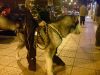 Samantha en la calle
