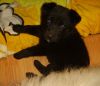 Somy en la cama