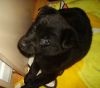 Somy mirando
