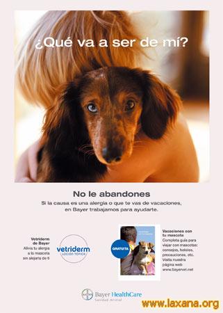Poster anti-abandono