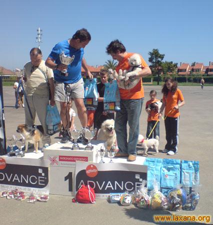 Gandores del paseo