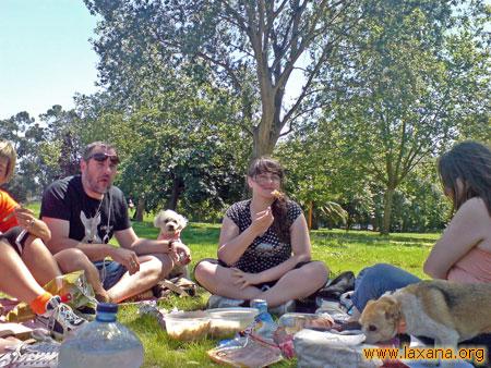 Comiendo 4