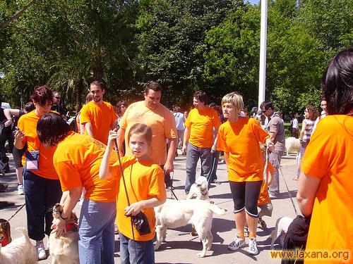 Marea naranja