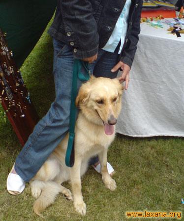 Lily en el stand