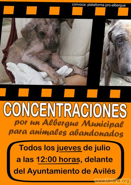 Cartel de las Concentraciones