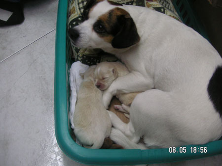 Dos bebes y mama adoptiva 3
