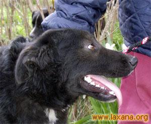 Carita de Carb�n